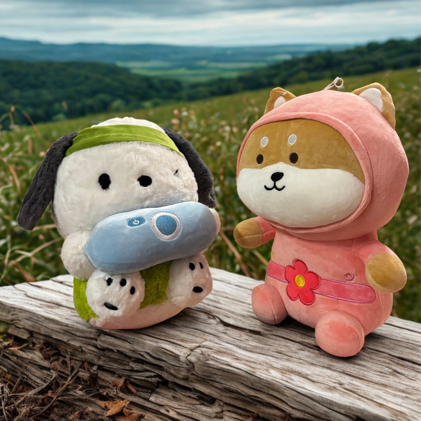 The Photogenic Couple