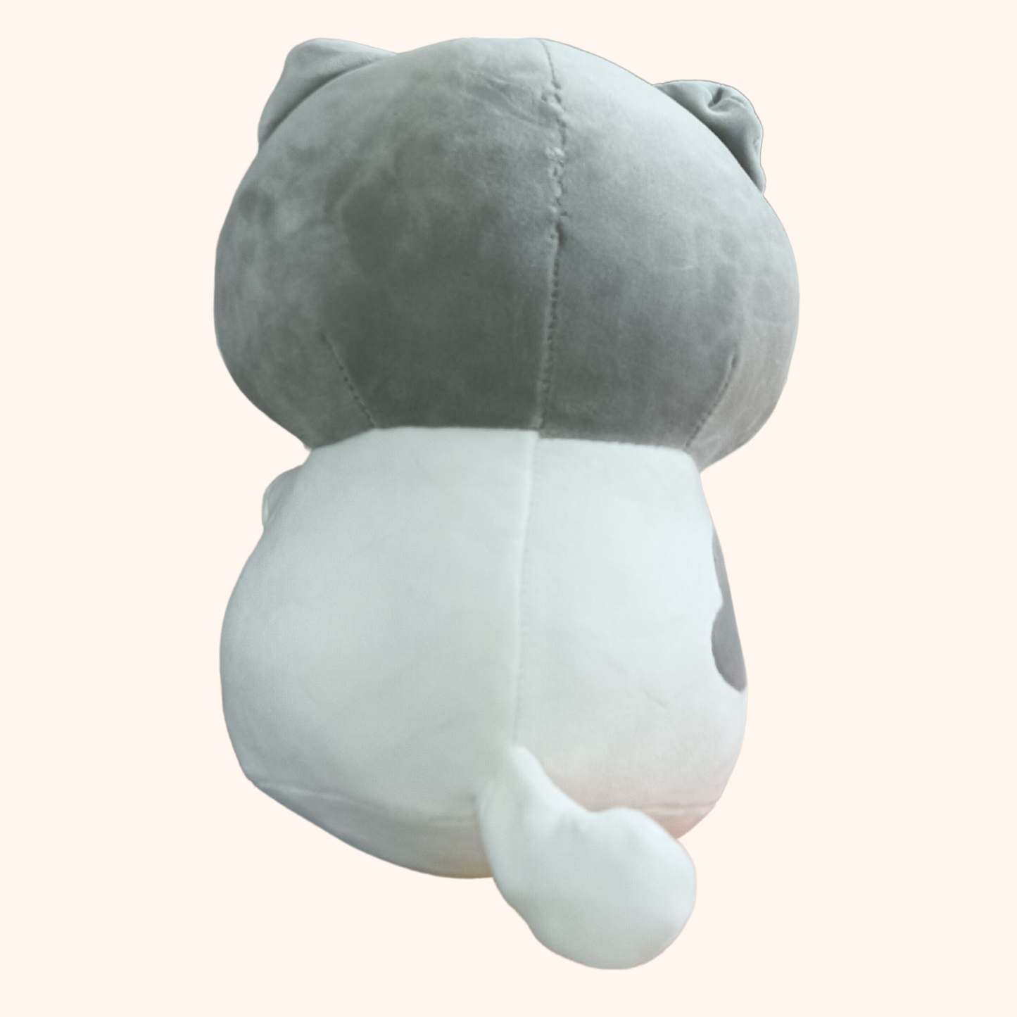Kitty