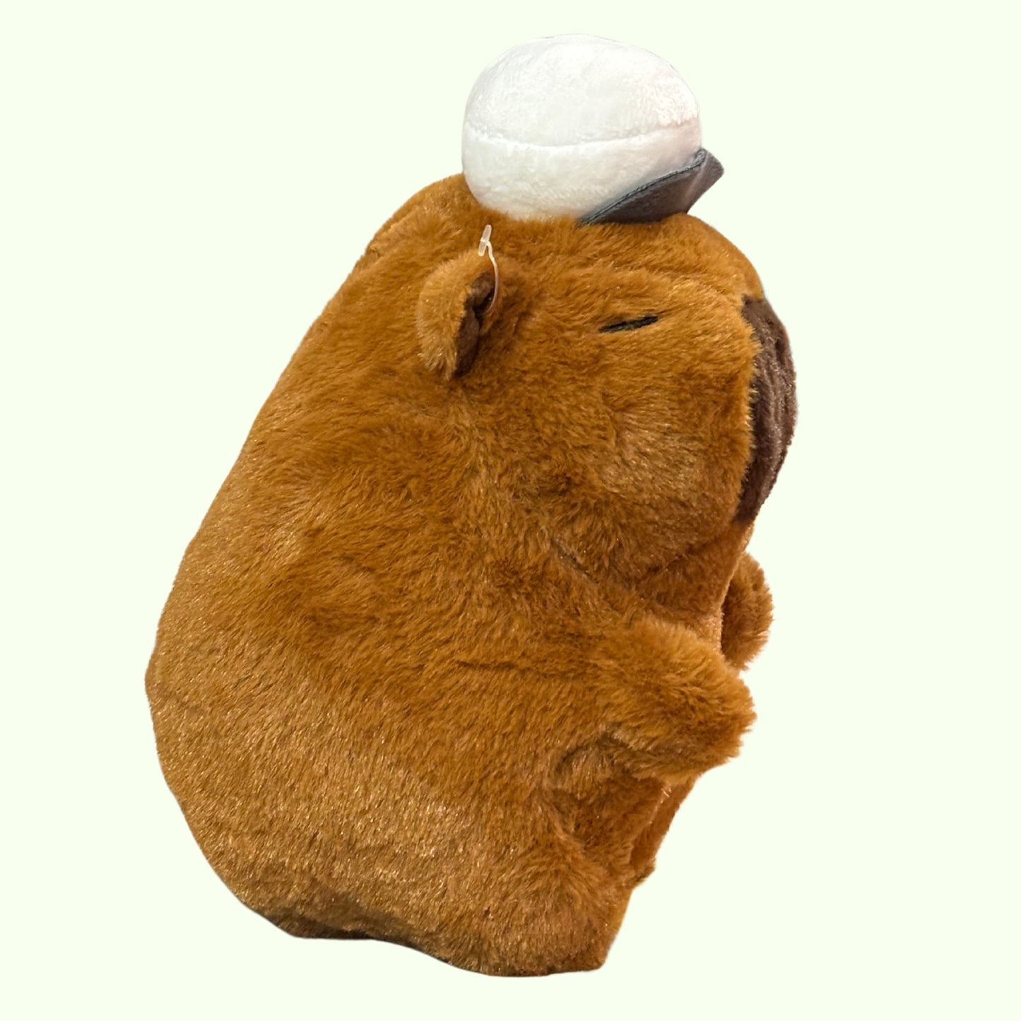 Cookie