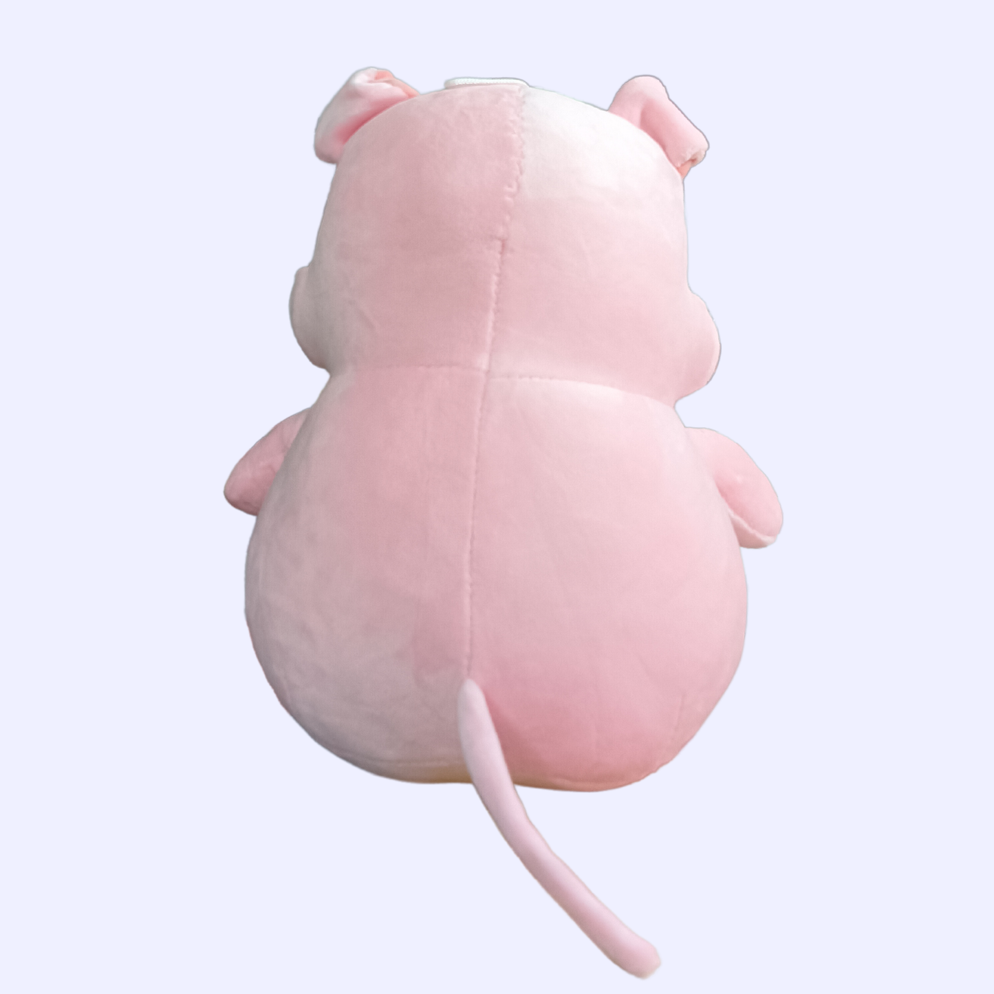 Piggy
