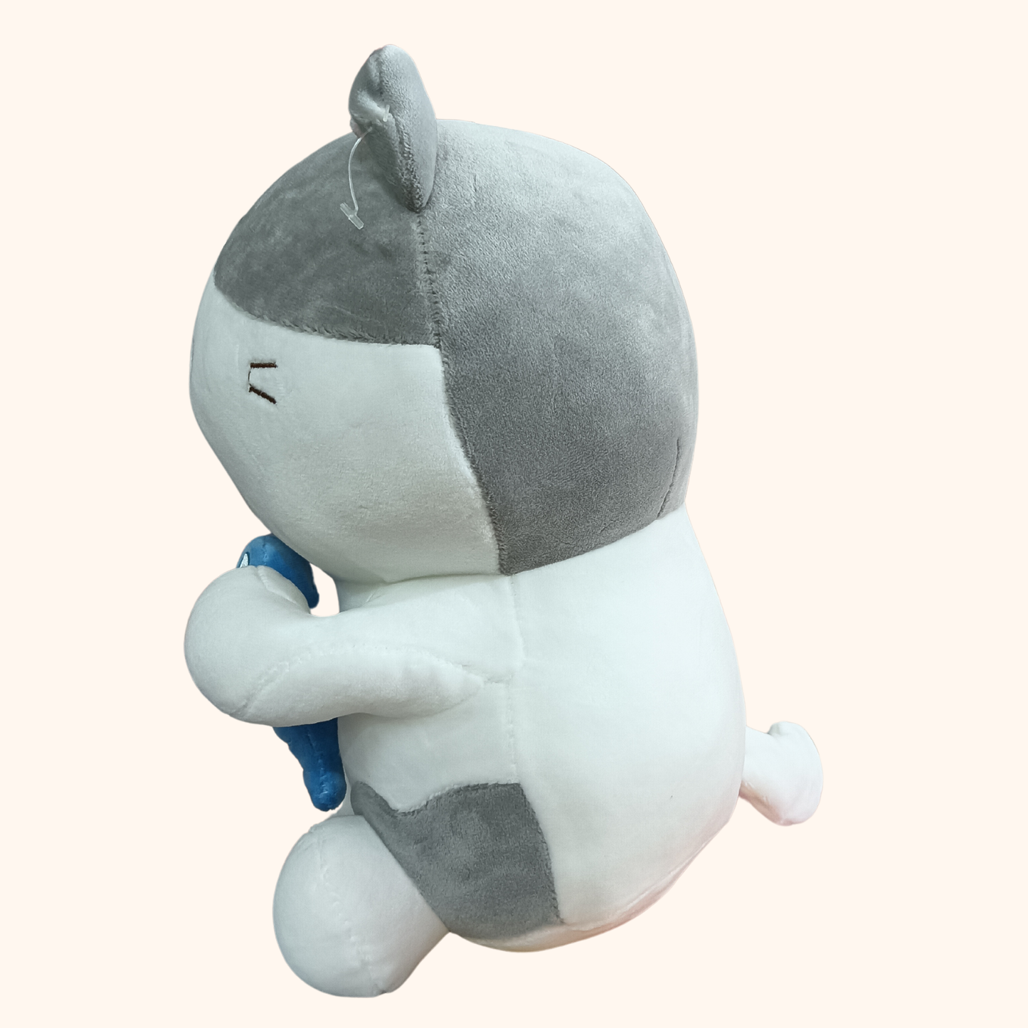 Kitty